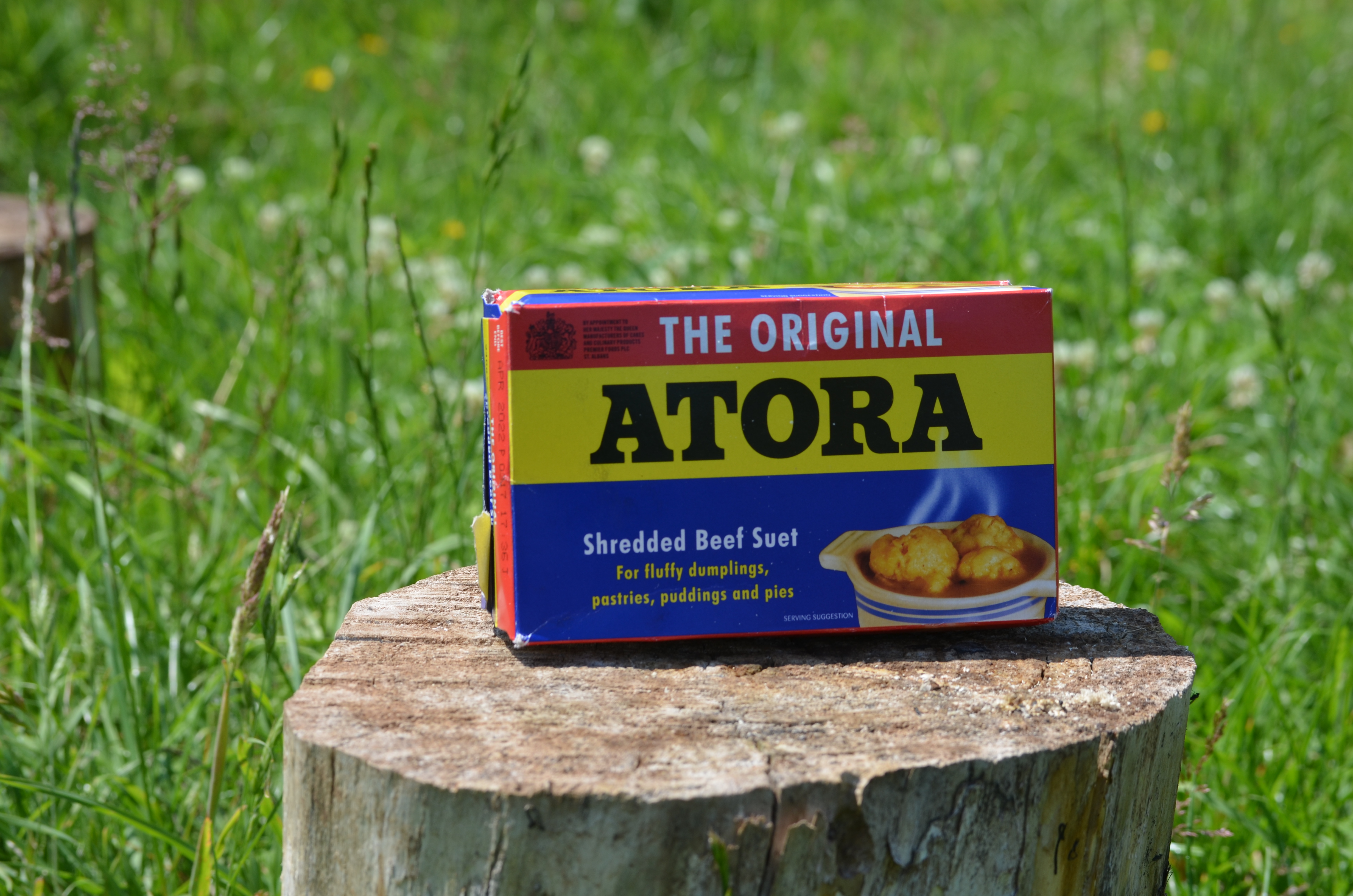 Close up of a beef suet box resting on a tree stump