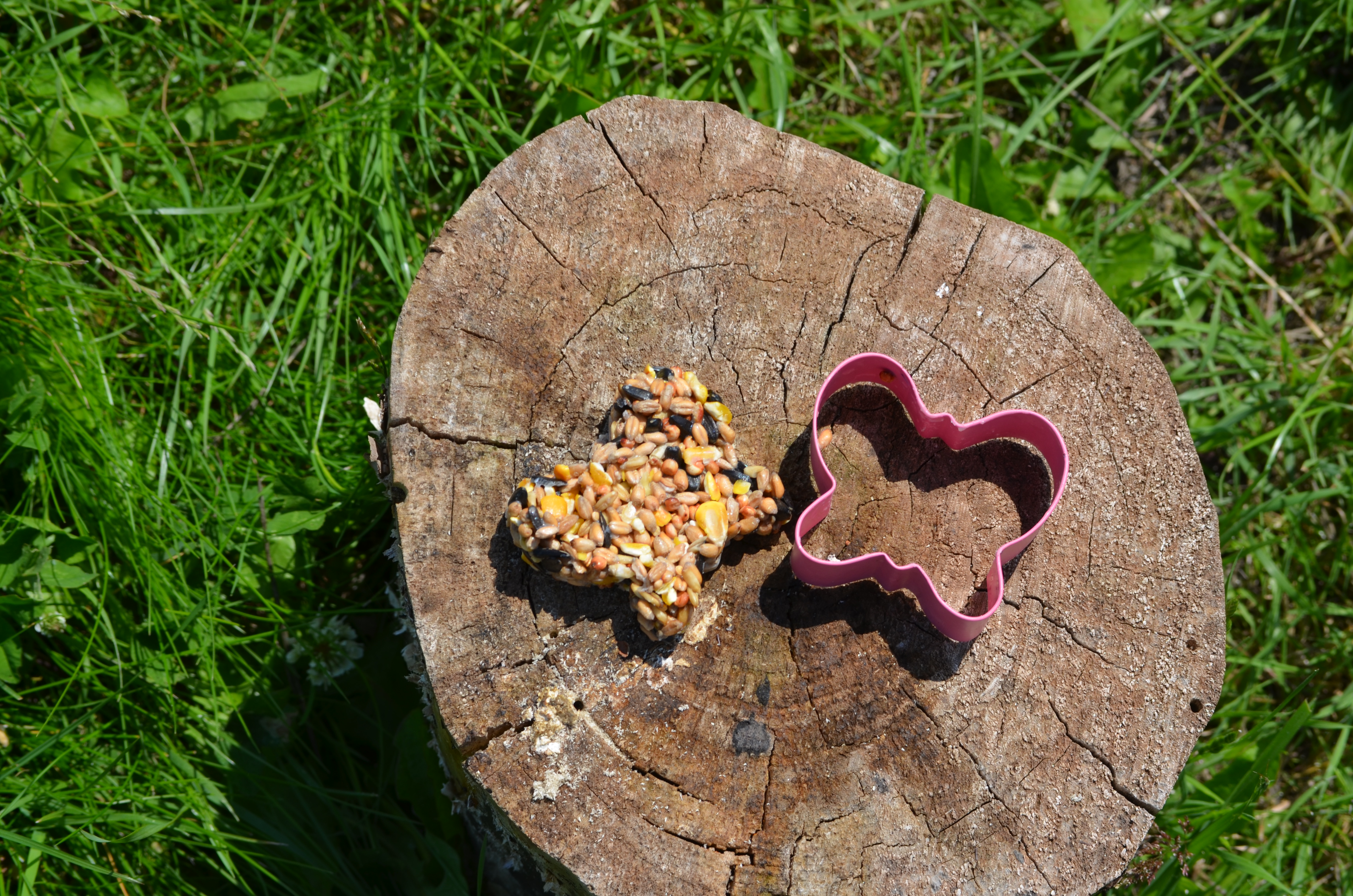 Close up of a natural bird feeder and the cookie cutter used to make it