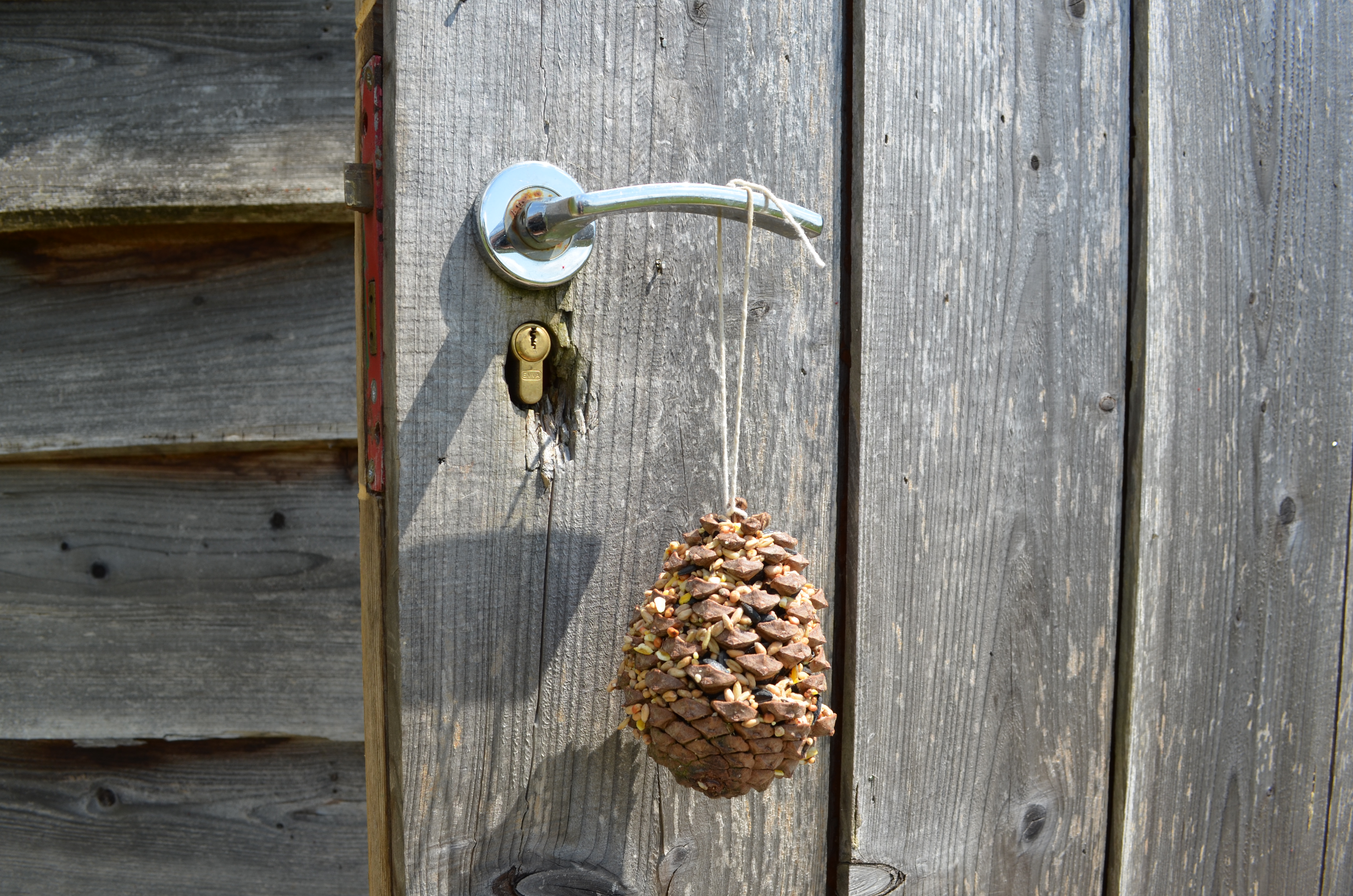 Pine cone bird feeder hanging on a door handle