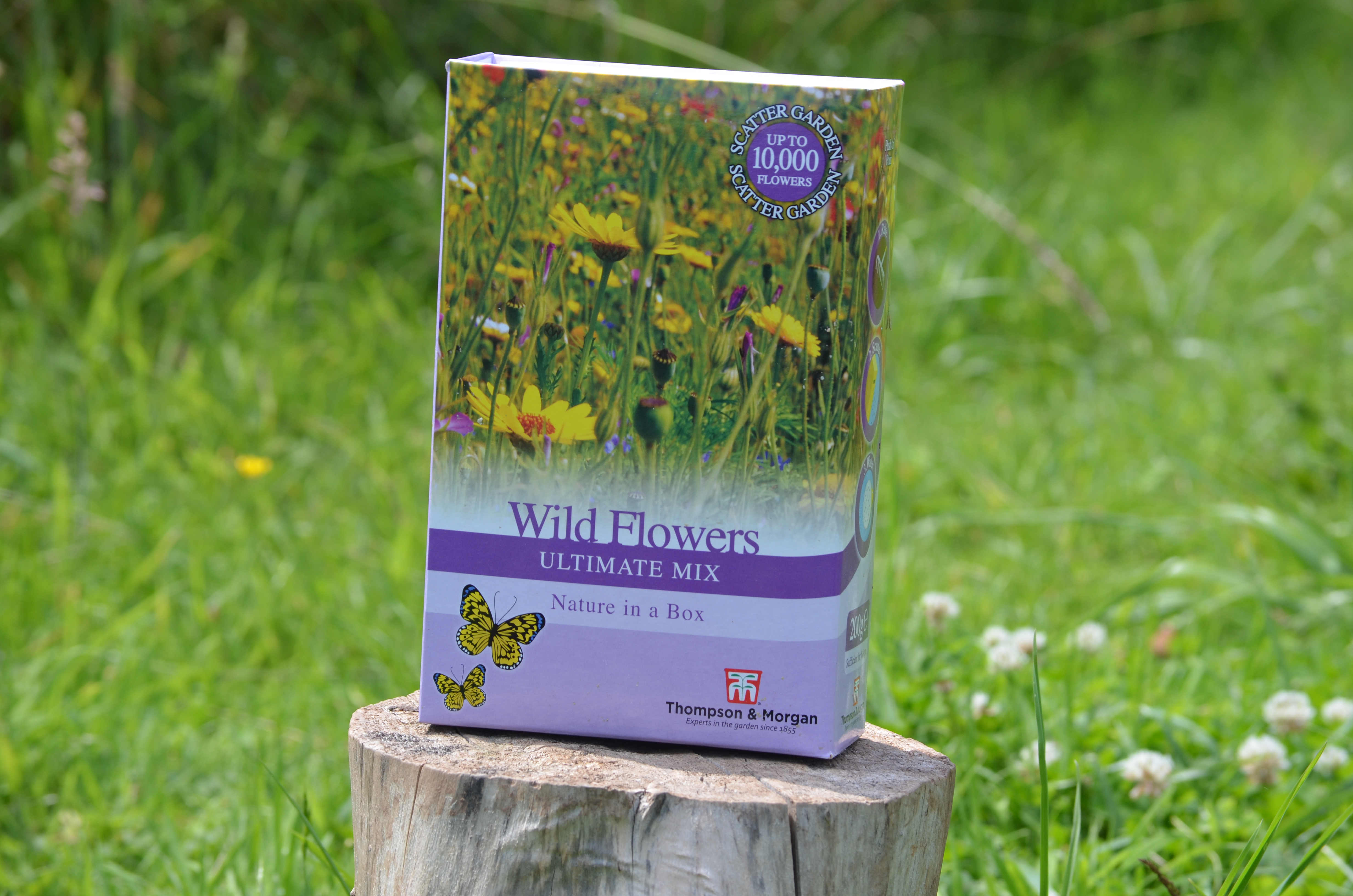 Close up of a box of wildflower seed mix on a tree stump