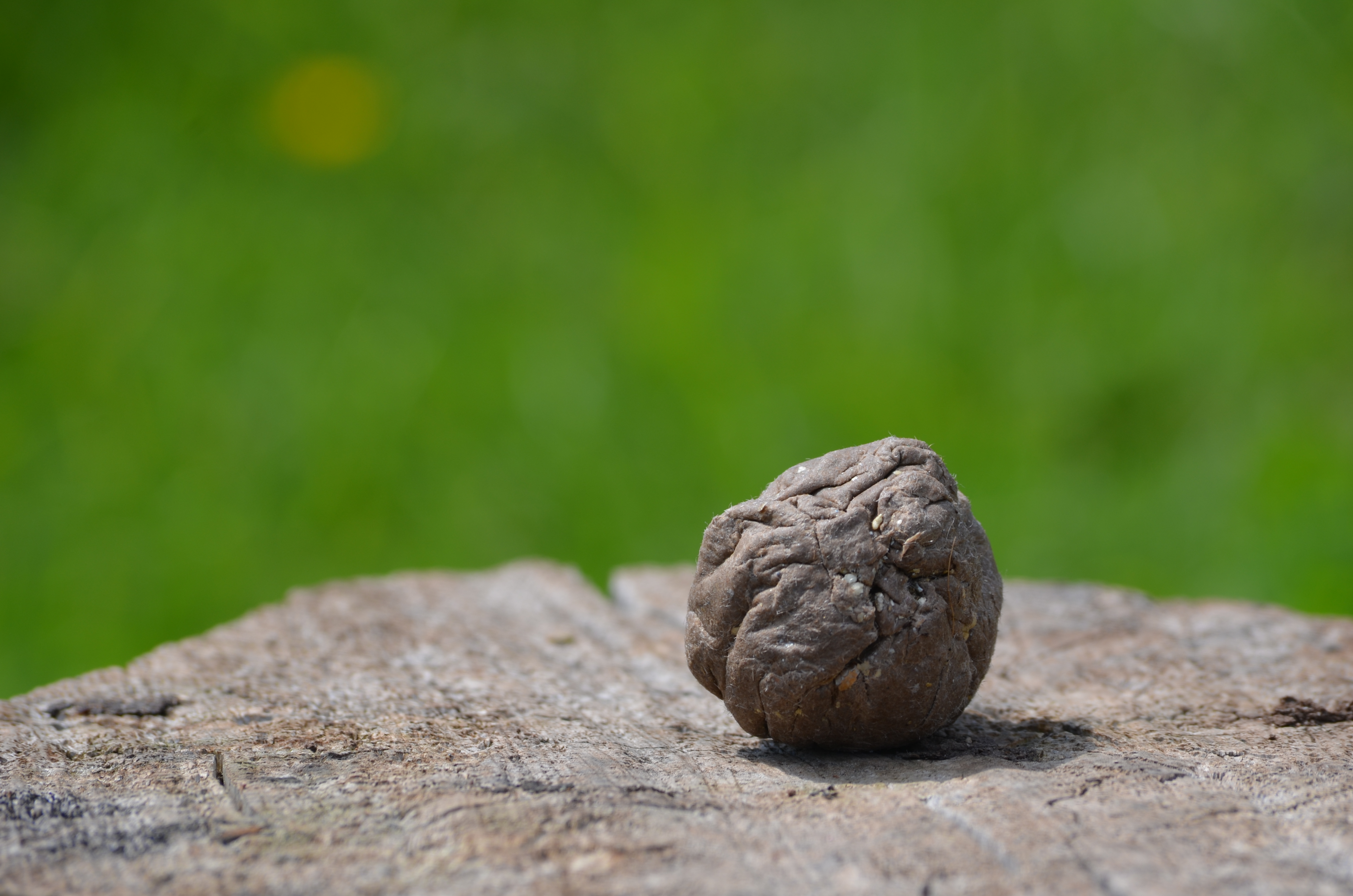 Close up of a seed bomb made with brown paper