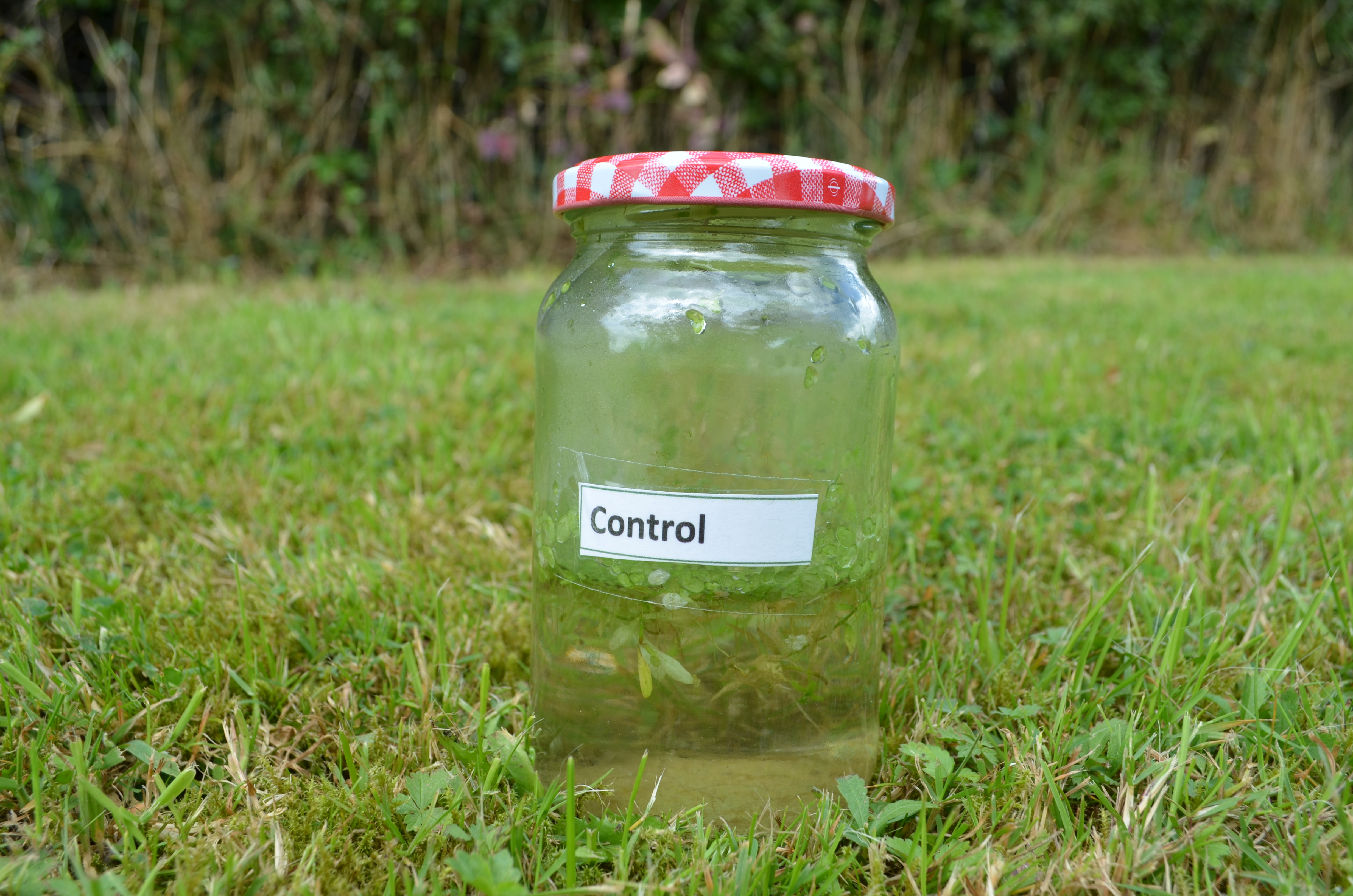 An empty jar with a control label on it