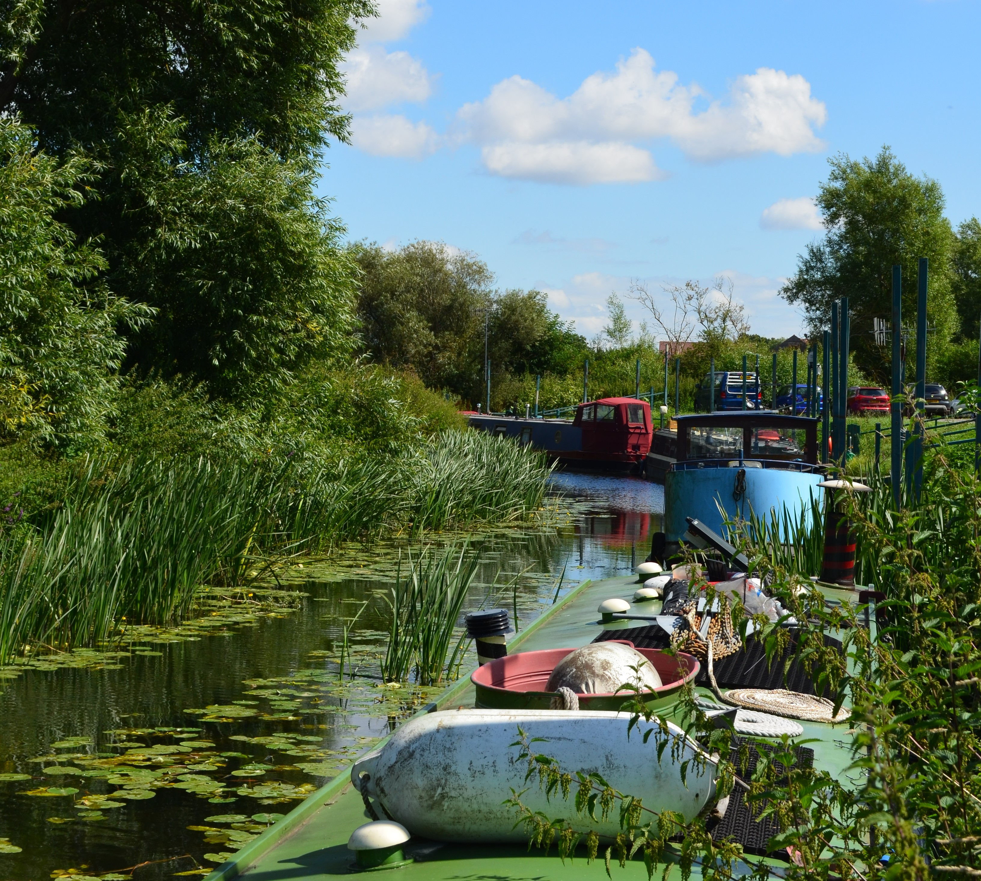 Close up of some canal boats moored to the bank at Dovecote moorings. River reeds and plants sit on the left side of the canal.