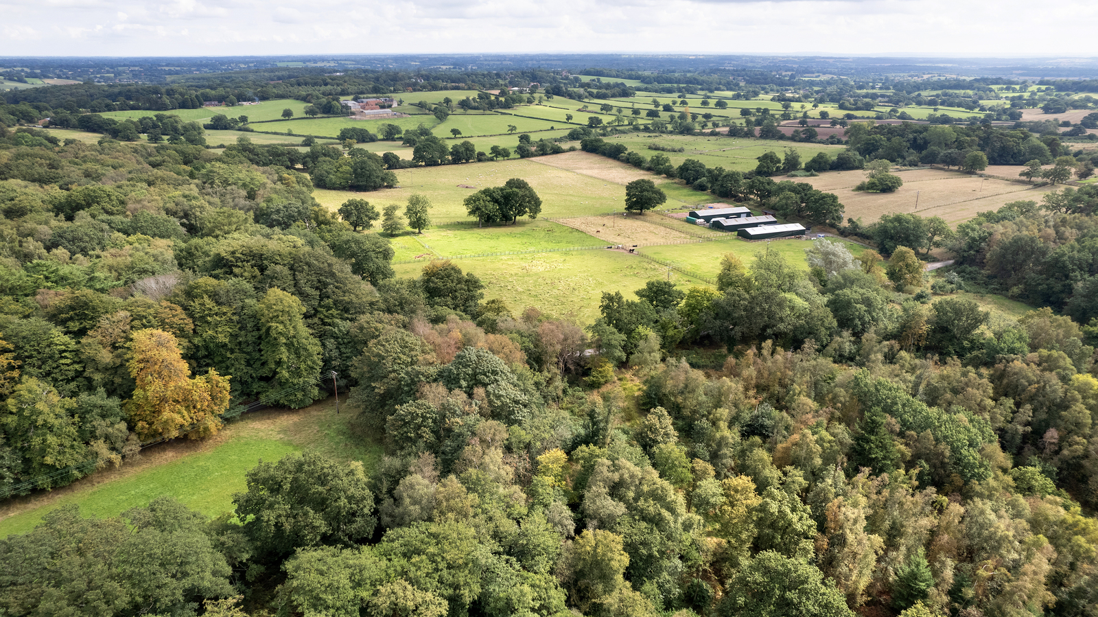 Aerial view of Gorcott Hill with tree tops in the top left corner and bottom right corner, and an open field with three barns in it in the top right.