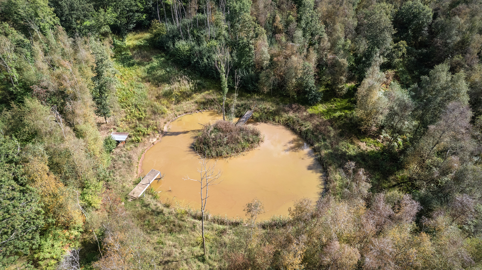 Aerial view of a big pond in Gorcott Hill surrounded by green tree canopy.