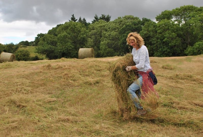 A female volunteer spreading hay from the rolled out hay bale
