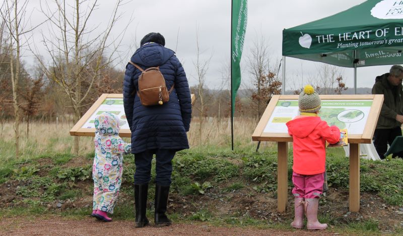 A female visitor with two small children looking at information boards at the start of a Forest walk