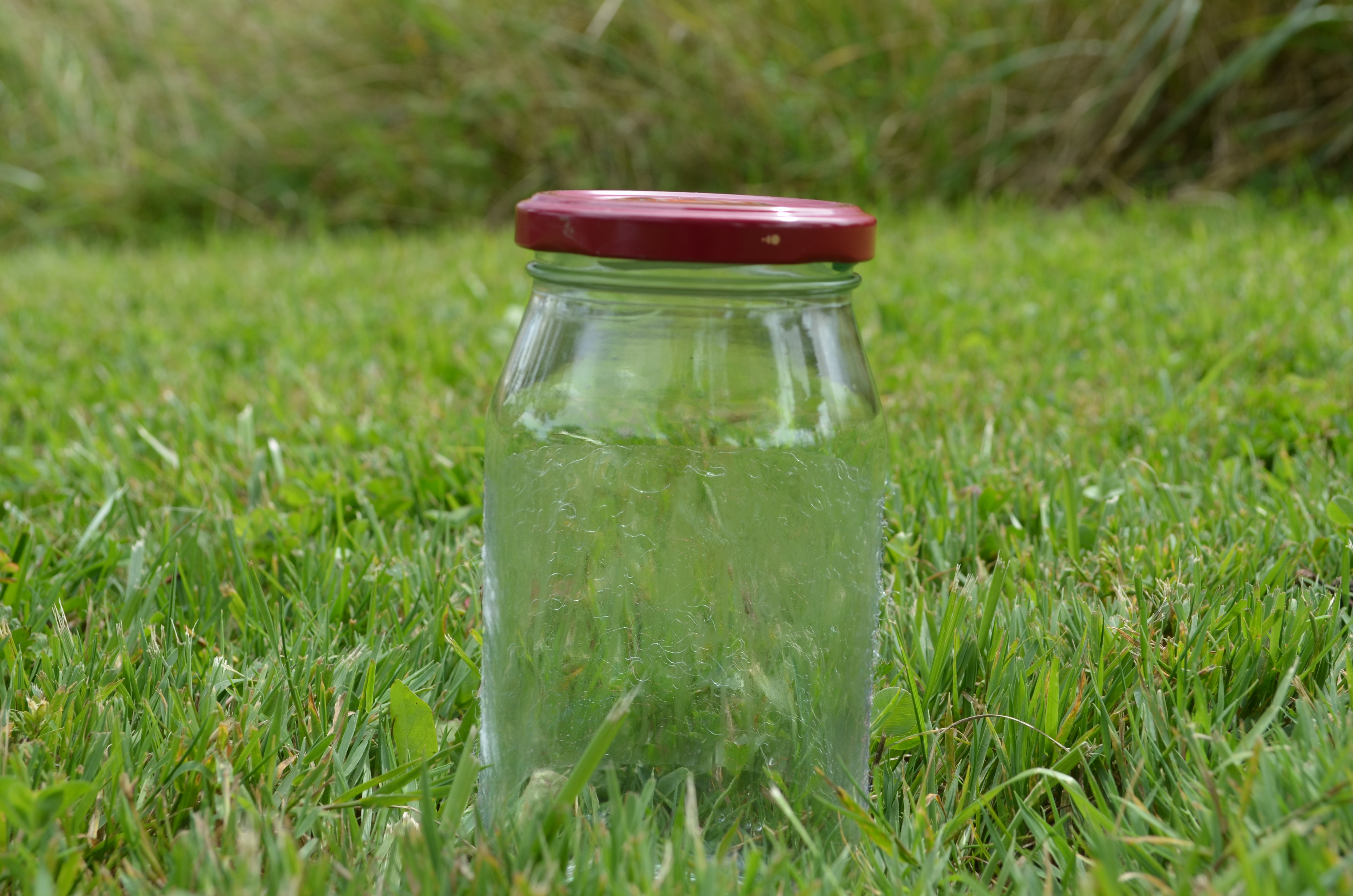 Close up of an empty jar