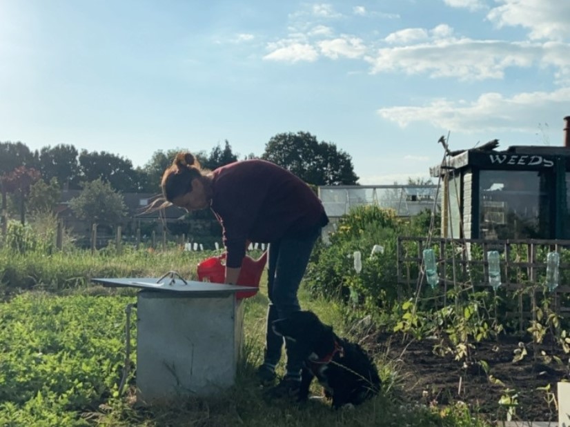 Kate gardening at her allotment with her black dog by her side and a blue sky in the background