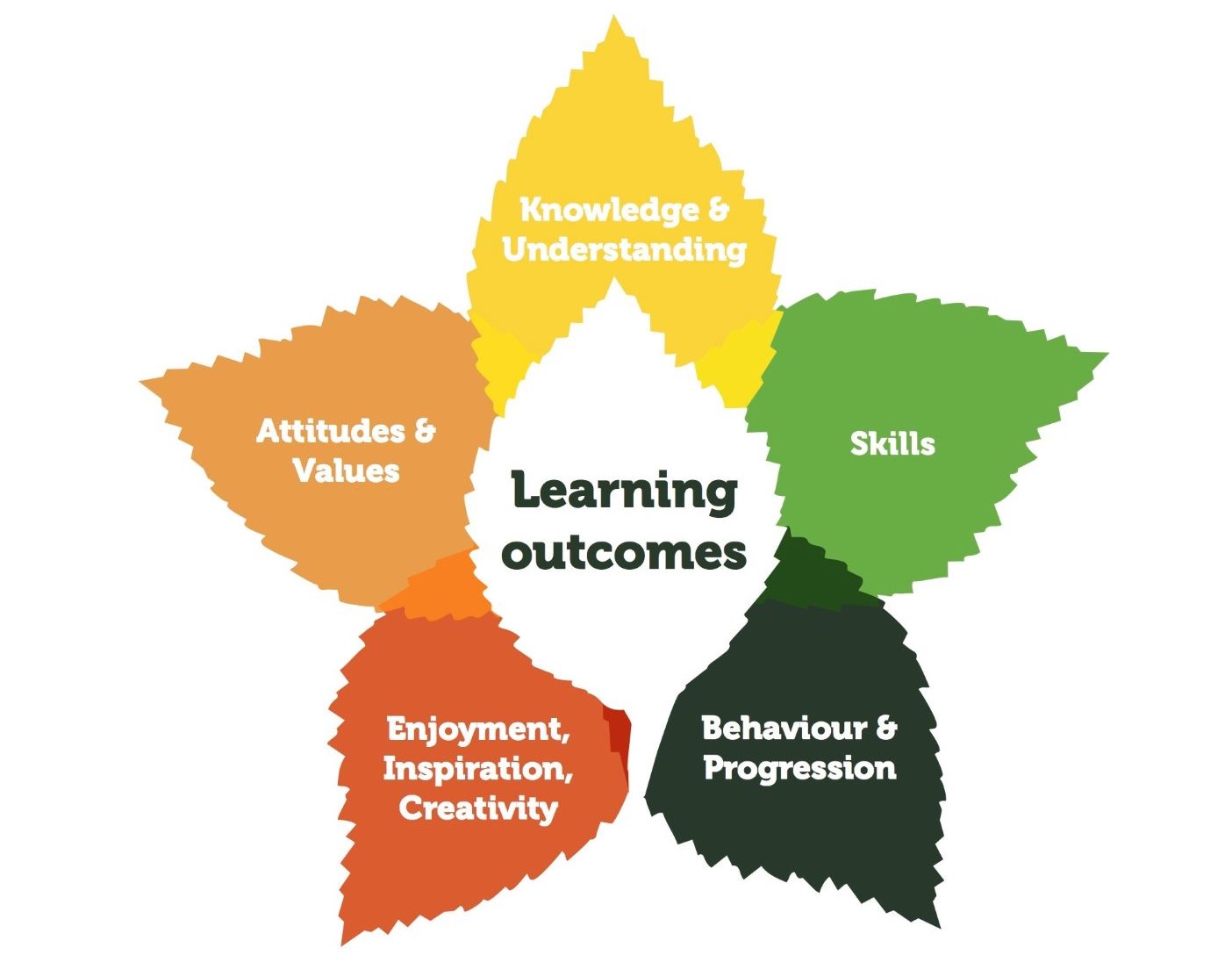Leaves infographic which shows the 5 different learning outcomes 