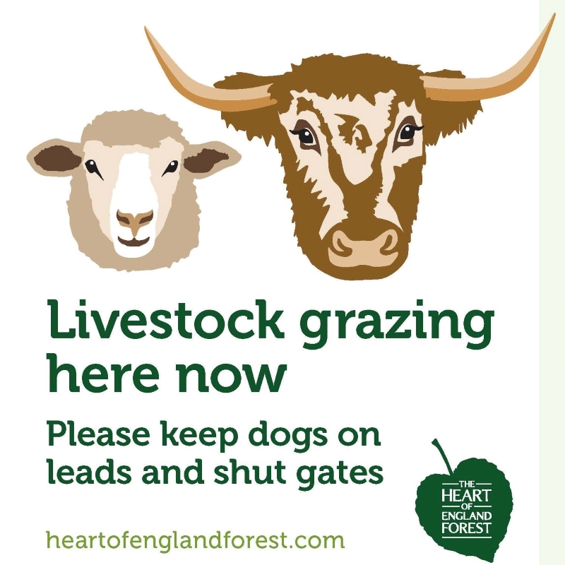 Cartoon design of 'Livestock grazing here' poster
