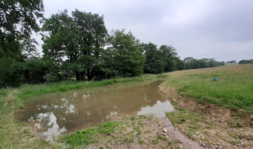 New pond created at Oak Wood site in the Forest 