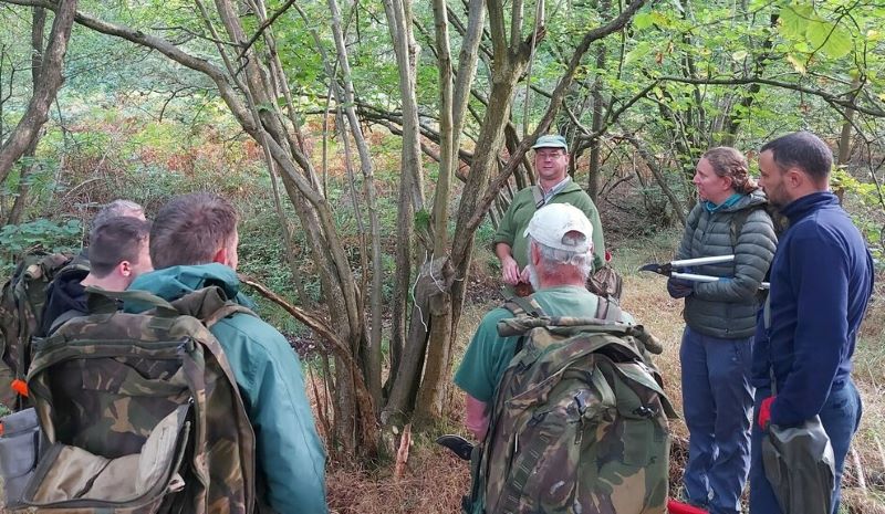 An expert is standing in the Forest next to a dormouse box in a tree with a group of six volunteers