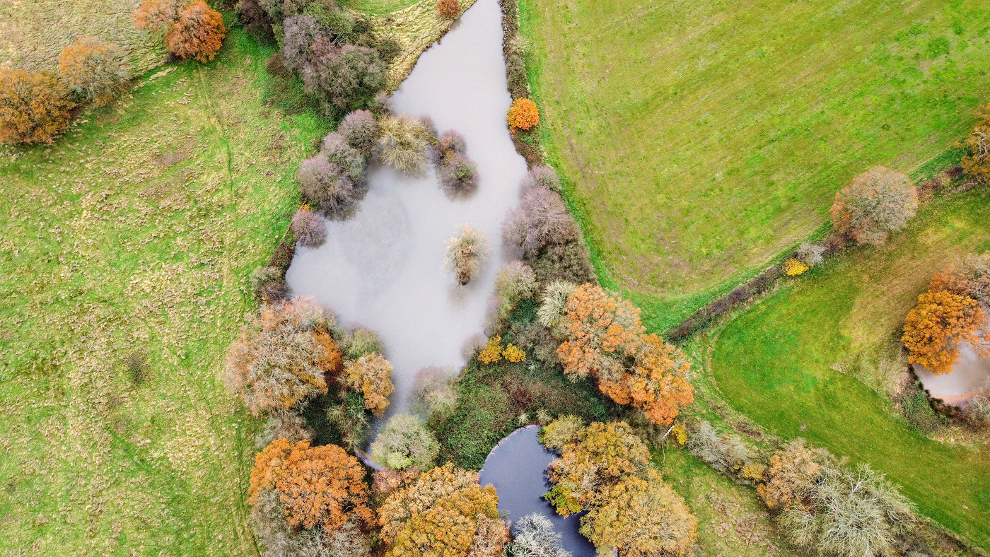 Drone shot of the landscape - different habitats