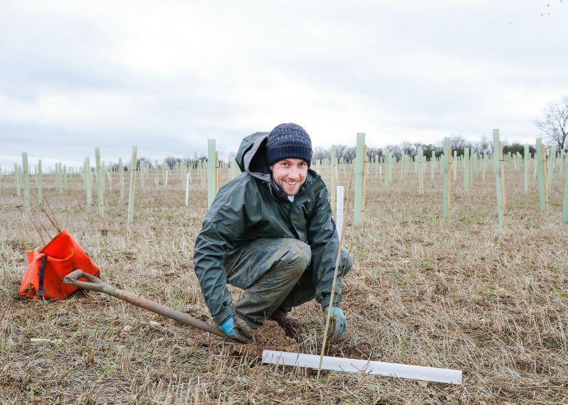 Forest Ranger Tim crouching down planting a sapling in a field of newly planted trees in winter. He is wearing warm clothes and is smiling at the camera