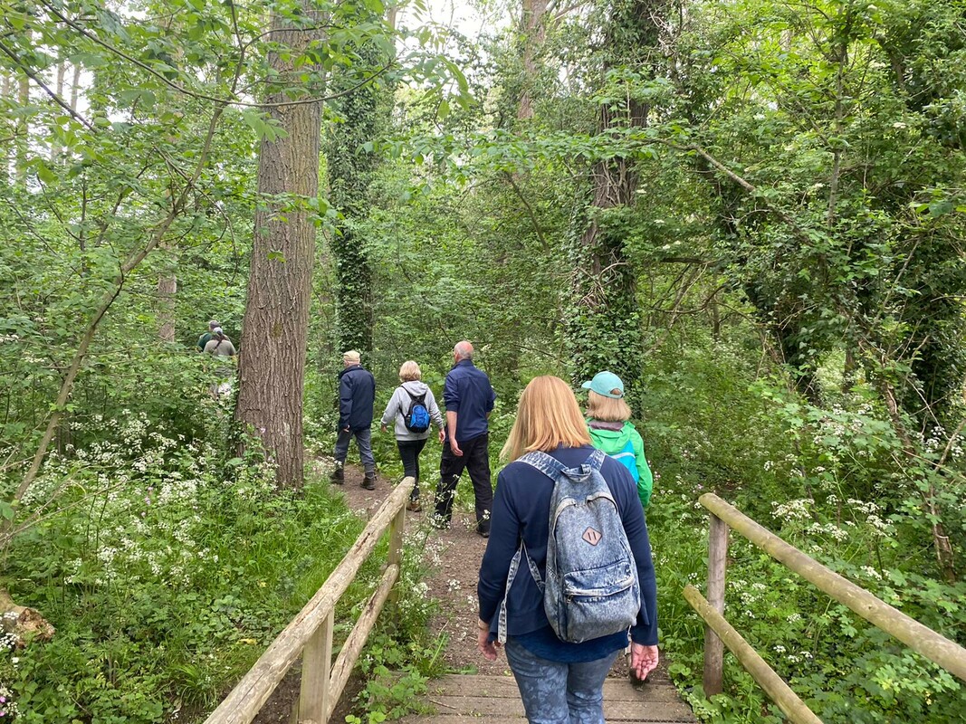 A group of people on a guided walk through the Forest walking away from the camera through the trees