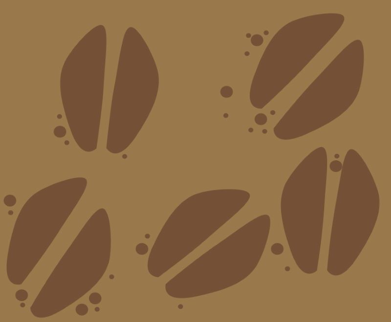 Diagram of animal prints in mud