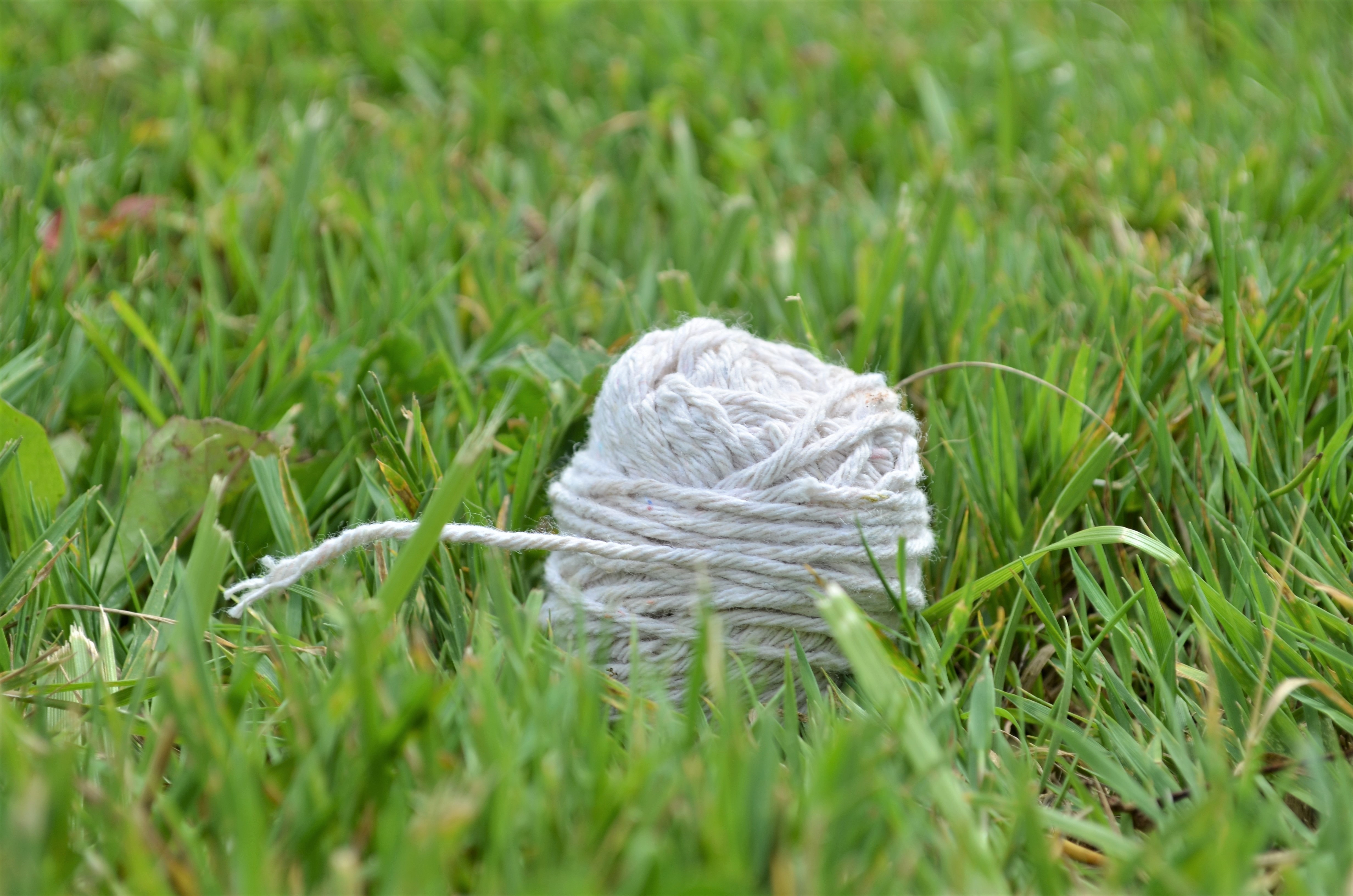 Close up of some string on some grass