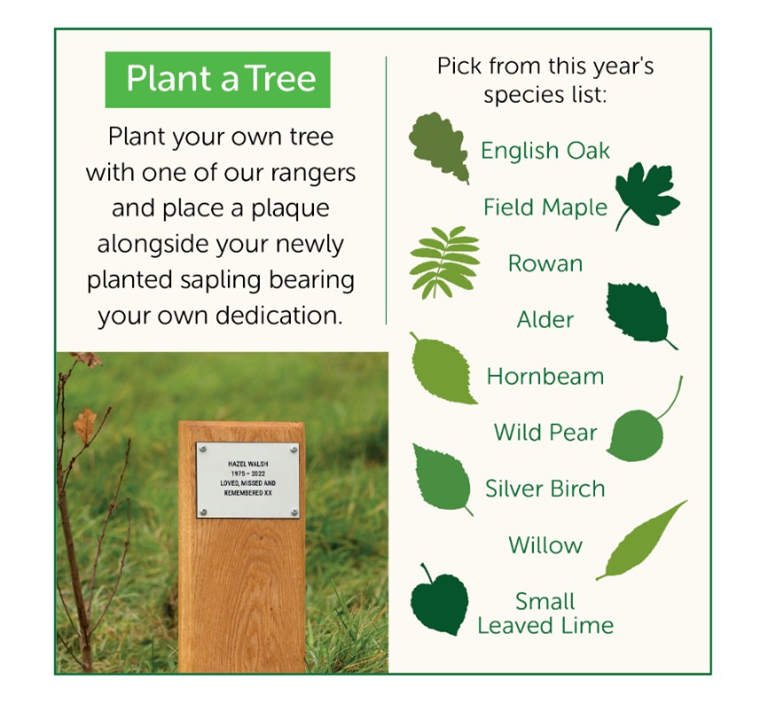 The list of available species for the upcoming tree planting season