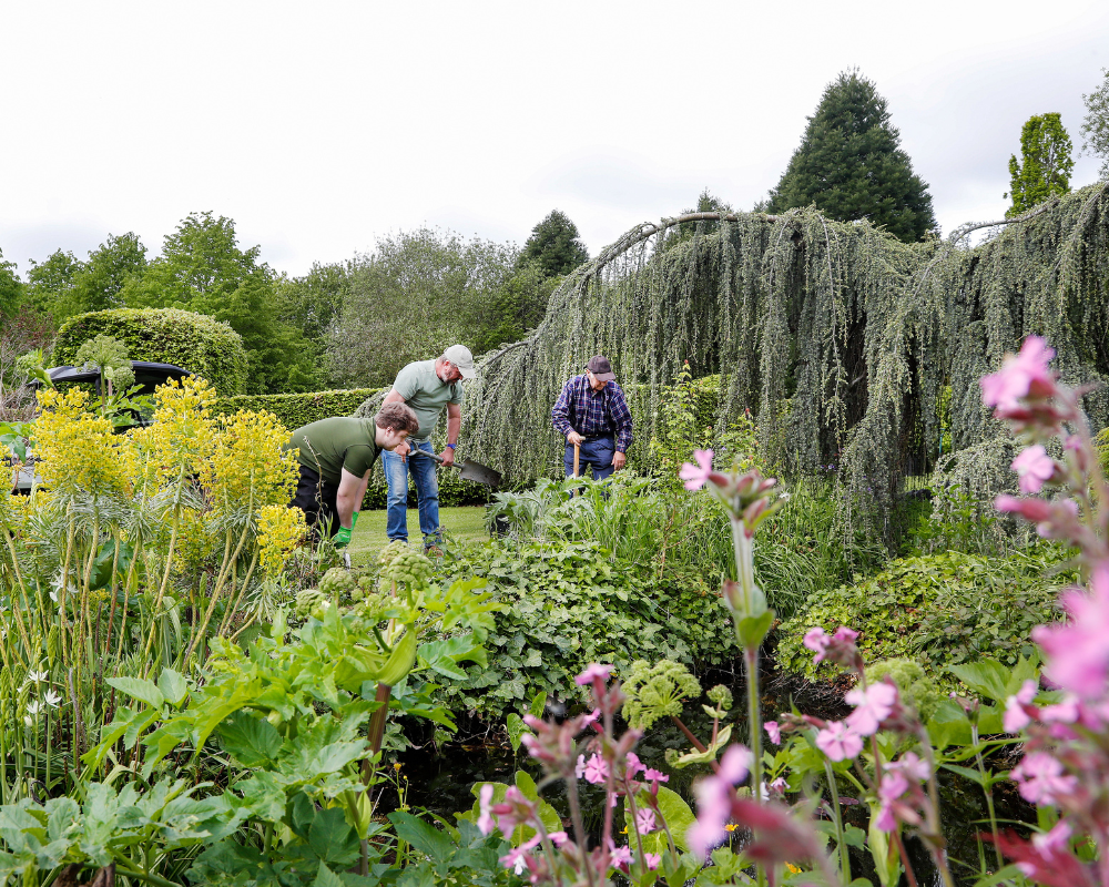 Three volunteers working hard in the gardens of heroes and villains.