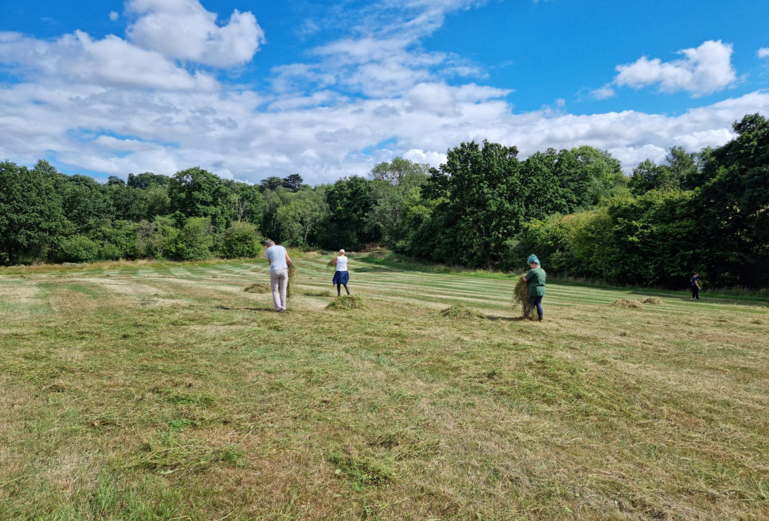 Biodiversity Officer Tasha and volunteers green hay strewing at Gorcott Hill