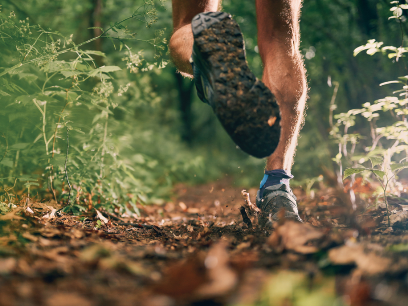 A close-up of a runners feet running through the Forest