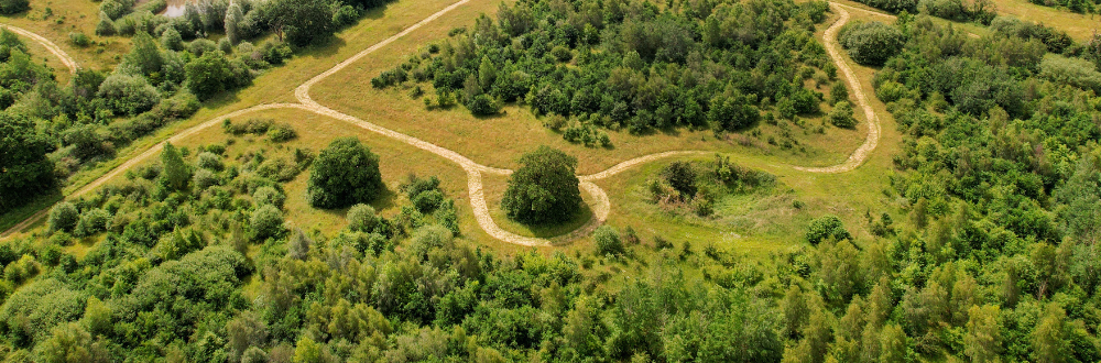 drone of green trees in Middle Spernal
