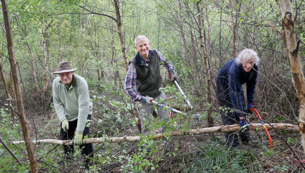 Three male volunteers working together in the Forest using loppers and saws
