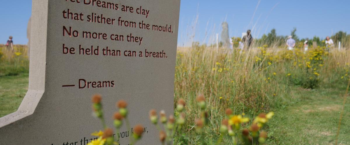 A shard featuring lines of poetry by Felix Dennis in the shard garden surrounded by yellow flowers