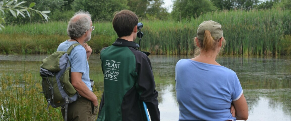 Sam Macvie, volunteer and an event participant completing an invertebrate survey