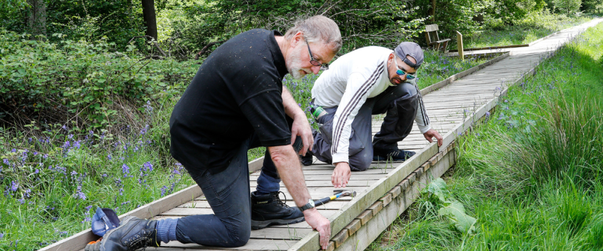 Two male volunteers maintaining the accessible trail at Morgrove Coppice.