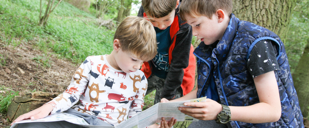 A group of young foresters identifying invertebrates.