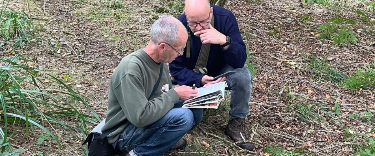 David and Tim crouched down to identify a fungus. 