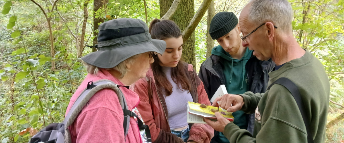 Di, Naomi J, Josh and David gathered around to look at a mushroom together