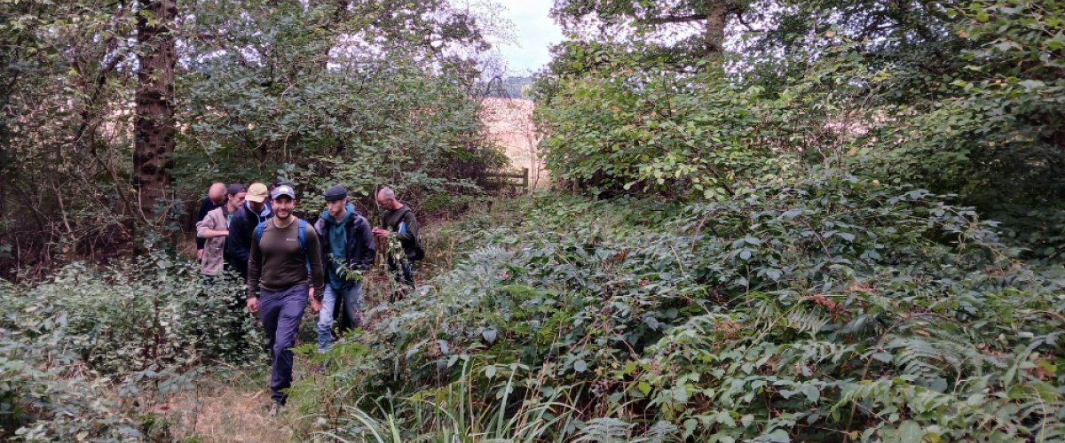 The Warwickshire Fungus Group foraying through Alne Wood