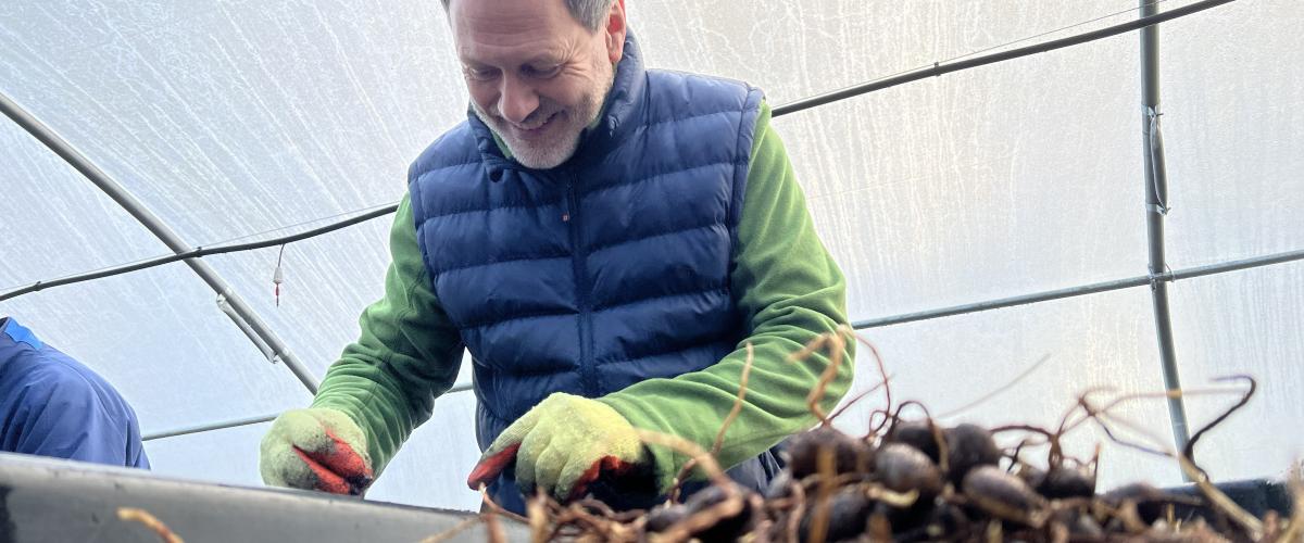 A volunteer planting seeds in the polytunnel at the Forest tree nursery