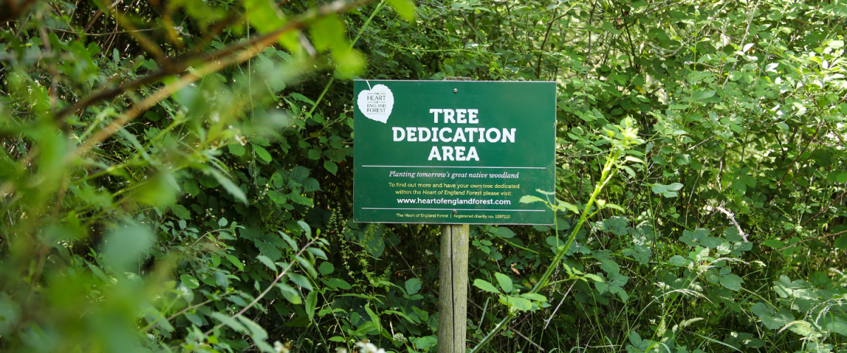 The Tree Dedication Area sign at Haydon Way Wood