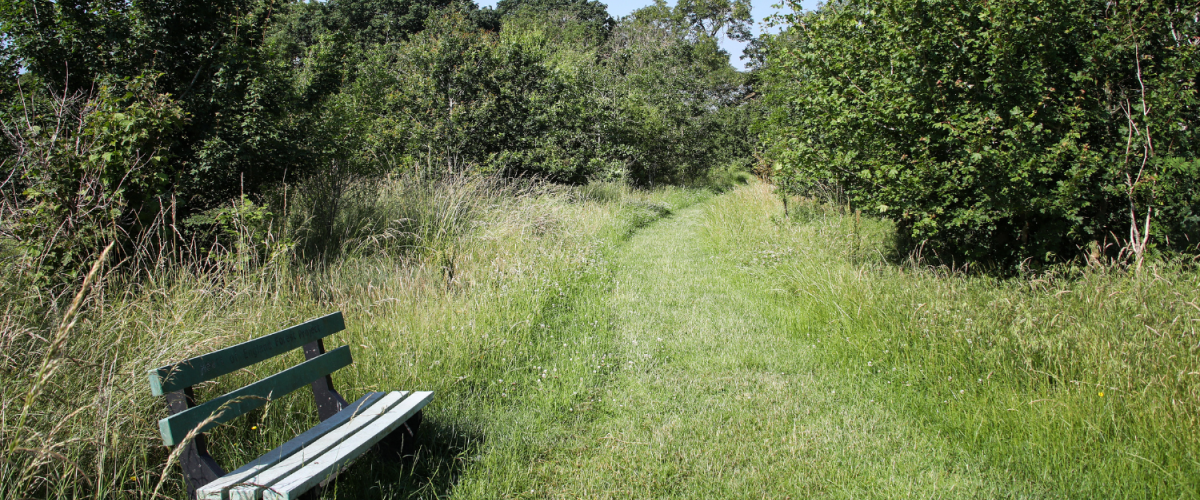 A bench sat alongside a grassy path near the dedication area
