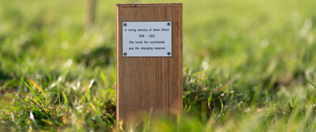 A dedication plaque within the tree dedication area