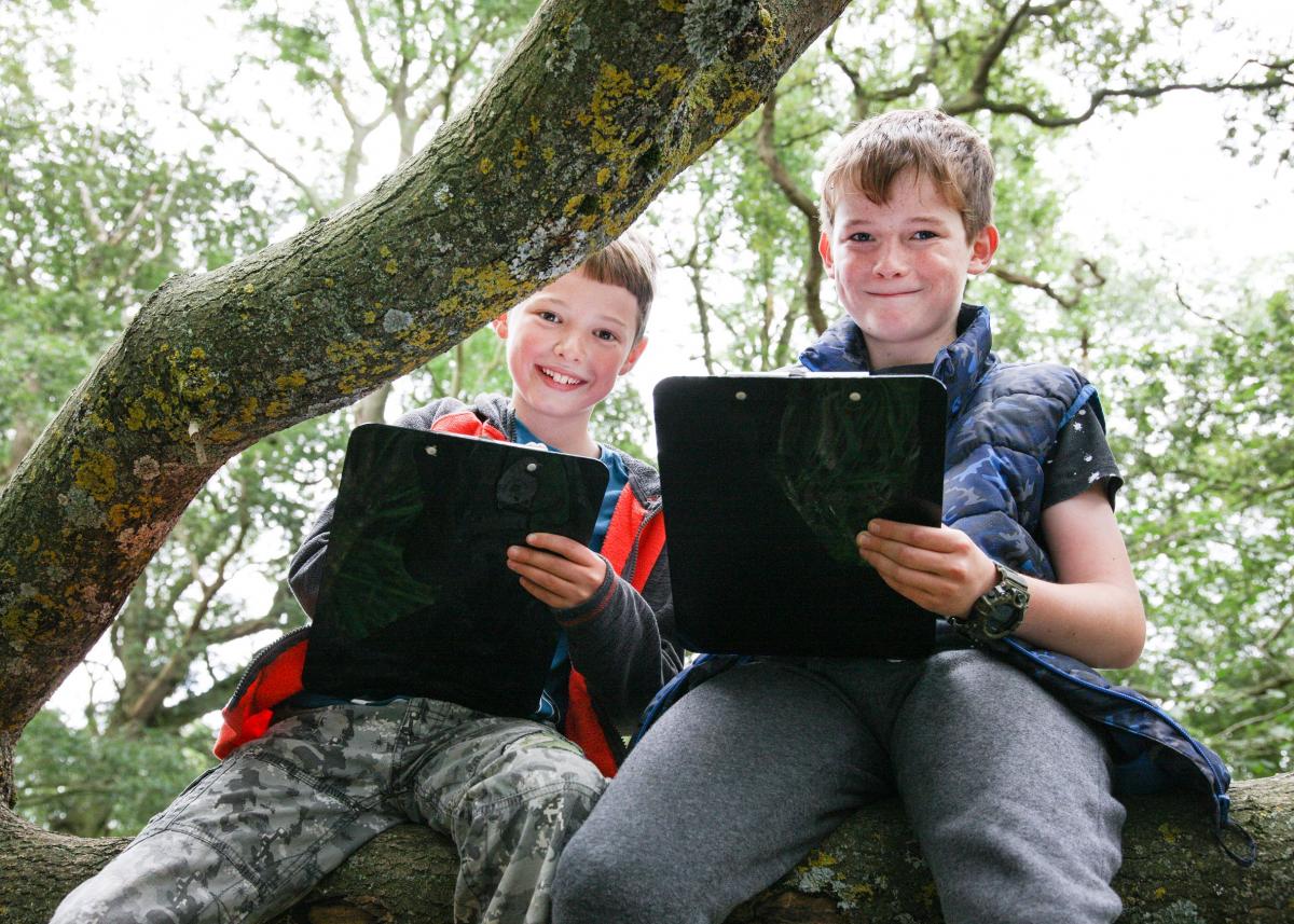 Two boys with clipboards sitting in a tree