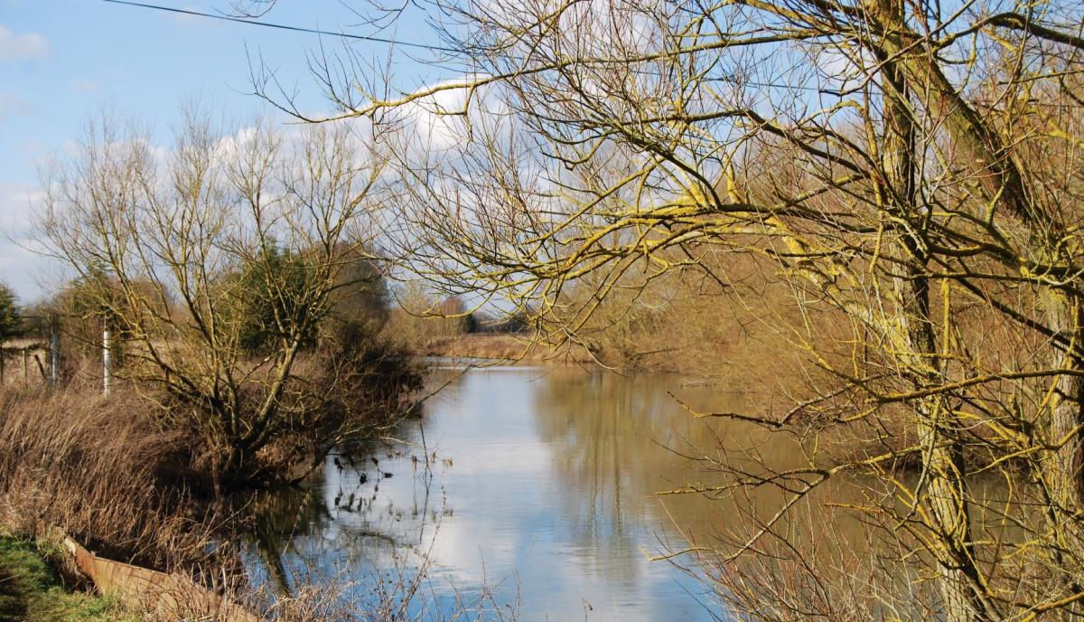 a view of the River Avon from our riverside trail walk