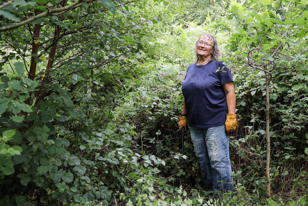 Photograph of a lady who is a volunteer looking to camera in the Forest