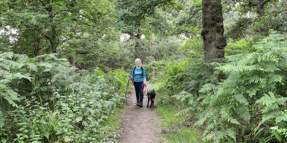 Lady walking in the Forest with her black labrador 
