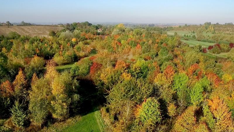 Aerial shot of Dorothy's Wood with autumnal colours