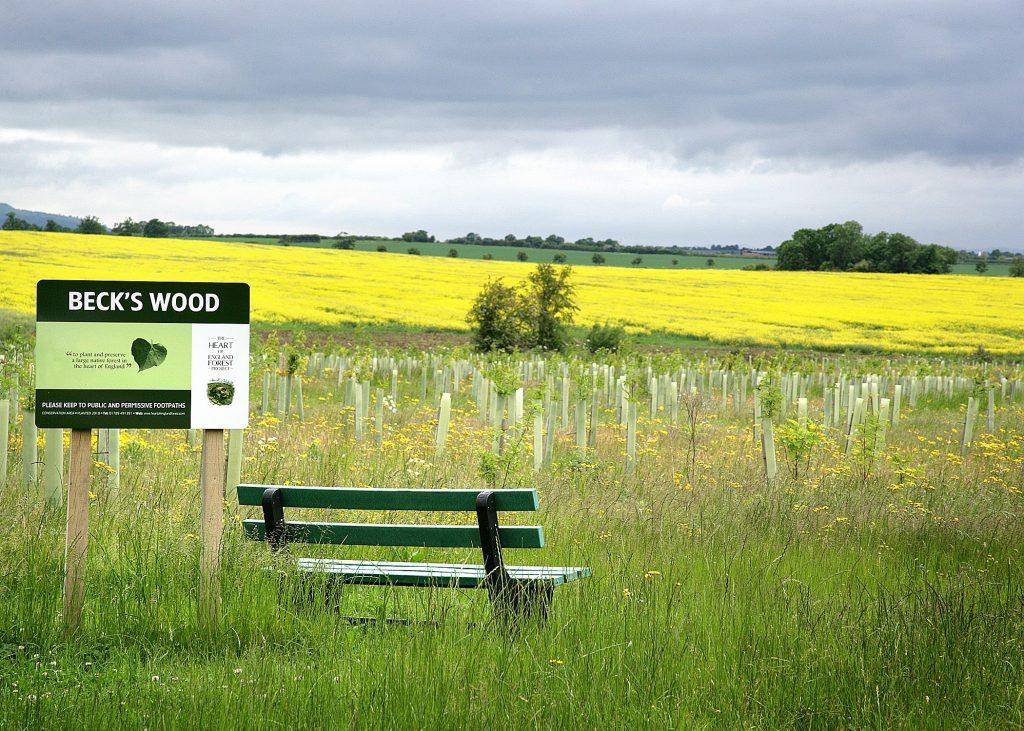 A bench and sign in Beck's Wood