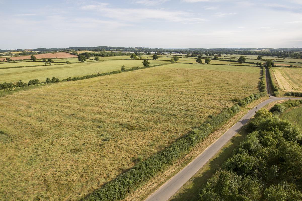 Wide shot of our land at Coughton Fields Farm