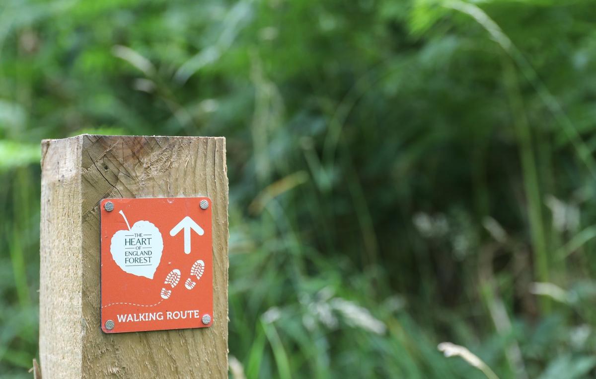 Close up of orange walking route sign on post in the Forest