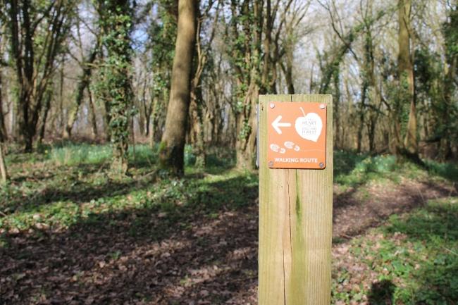 Close up of a footpath sign in the Forest