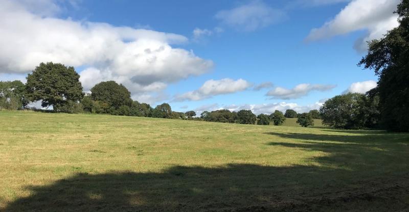 A wideshot of some of our land acquired near Tanworth in Arden