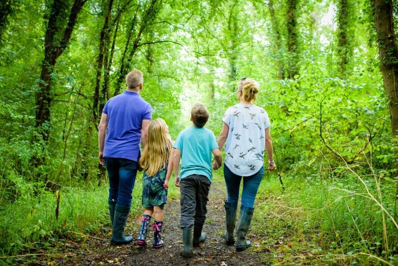 A family walking a long a woodland path, looking up to the tree canopy